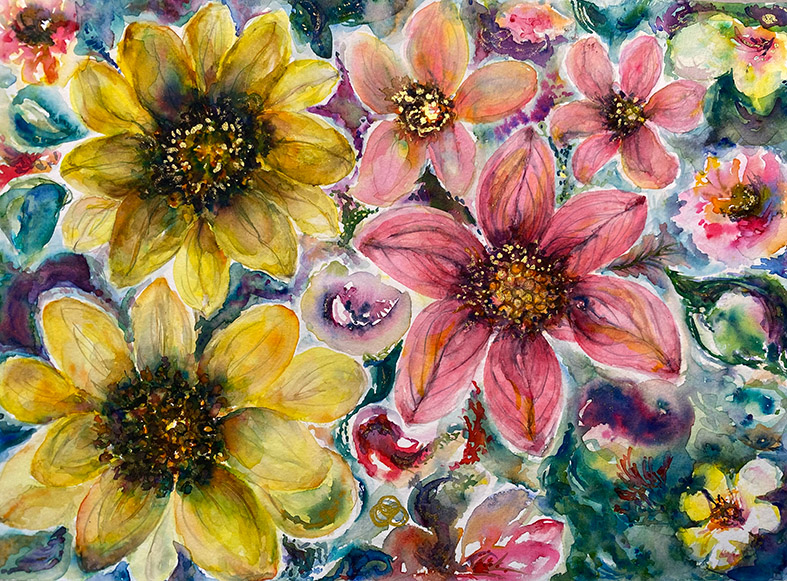 Dahlias in bloom